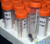 儀器探索發(fā)現周代化妝品含有植物精油