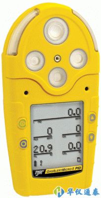 加拿大BW M5多種氣體檢測(cè)儀