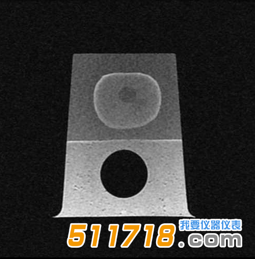 1534989827203988.png 美國(guó)CIRS 053S 053L 053L-EF前列腺M(fèi)RI測(cè)試體模5.png