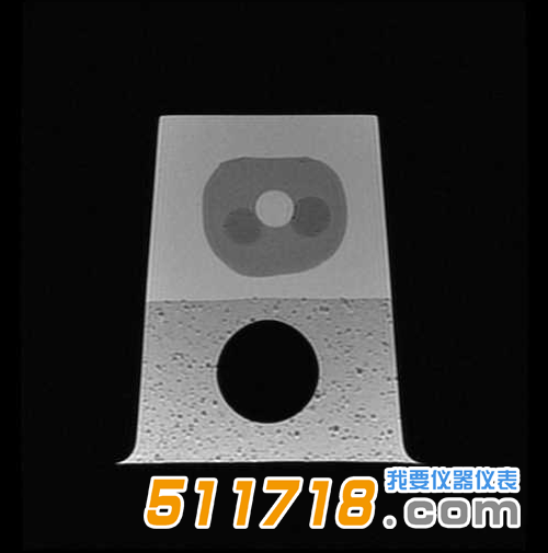 1534989843191319.png 美國(guó)CIRS 053S 053L 053L-EF前列腺M(fèi)RI測(cè)試體模6.png