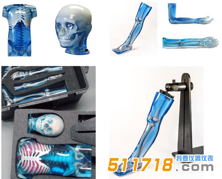 美國(guó)CIRS 715兒科全身體模1.png