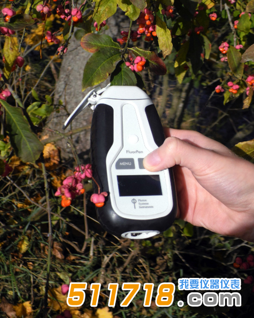 1573182208767957.png 捷克PSI FluorPen FP110手持式葉綠素?zé)晒鈨x3.png