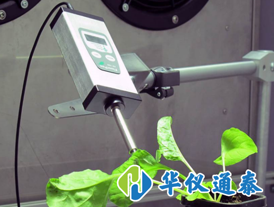 1611020769422896.png 葉綠素測定儀的使用步驟和注意事項.png