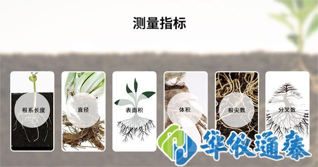 植物根系分析儀.jpg