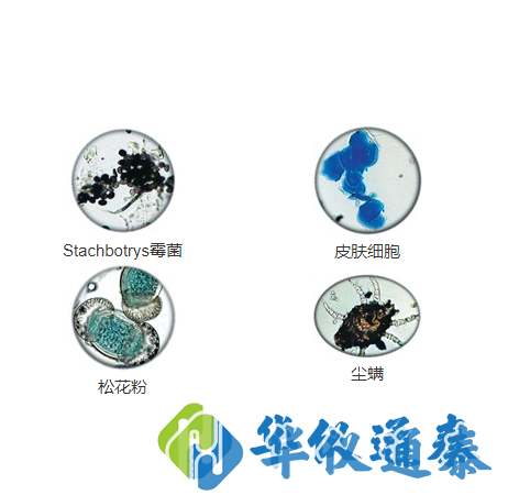 AIR-O-CELL空氣取樣盒收集顆粒物的實例.png
